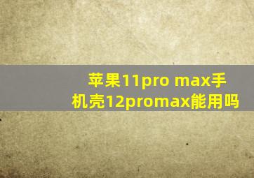 苹果11pro max手机壳12promax能用吗